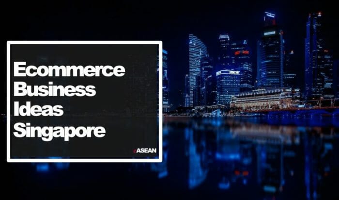 ecommerce business ideas singapore 2022
