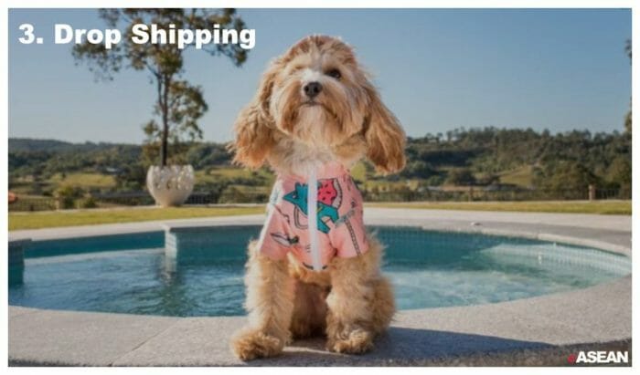 drop shipping business opportunities in singapore